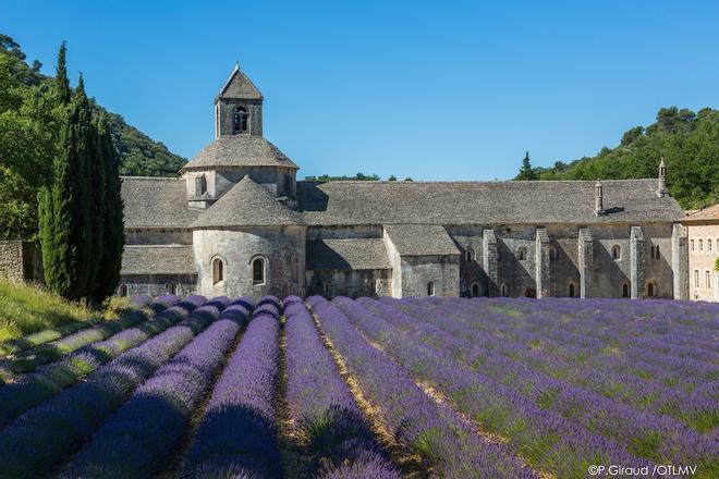 Museo de Lavanda Gordes