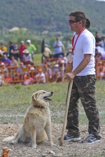 La Valleta de Agres ha sido un año más el escenario del Concurs de Gossos de Ramat