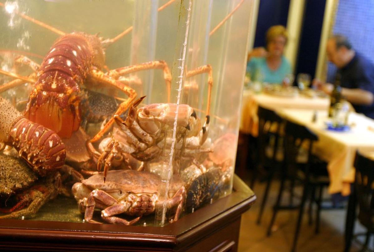 Gastronomía en Santiago de Compostela
