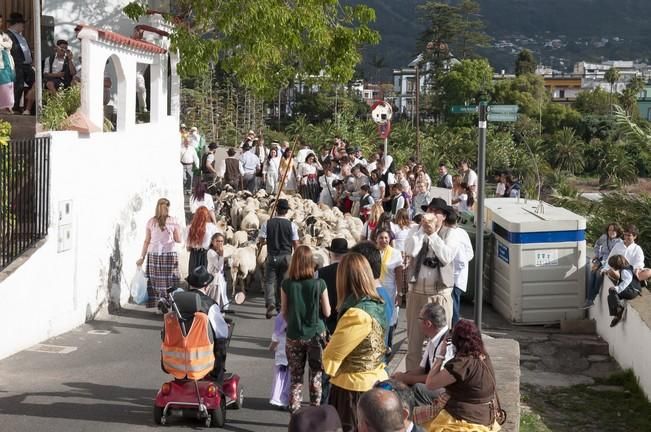 18/06/2016 ARUCAS . Romeria de ARUCAS. Foto: SABRINA CEBALLOS