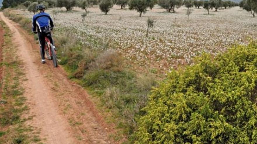 Ruta cicloturística: Villena - Sax