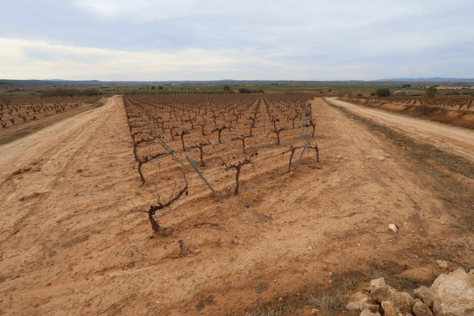 Las consecuencias del temporal de granizo que azotó ayer Requena