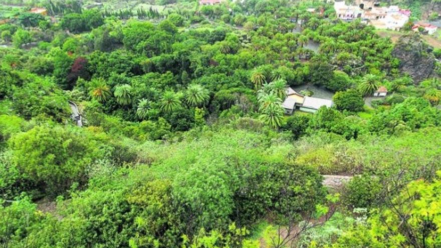 Los tesoros del Jardín Canario