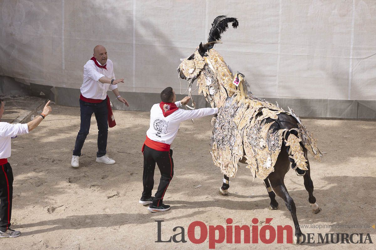 Así se ha vivido la carrera de Los Caballos del Vino en Caravaca