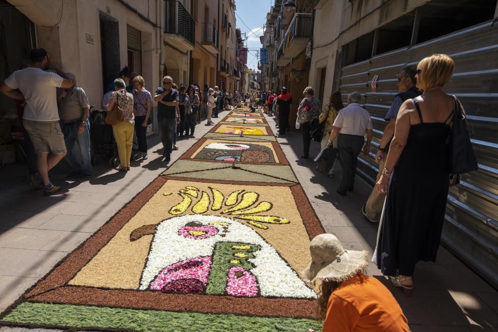 El concurs de catifes de flors naturals omple Arbúcies