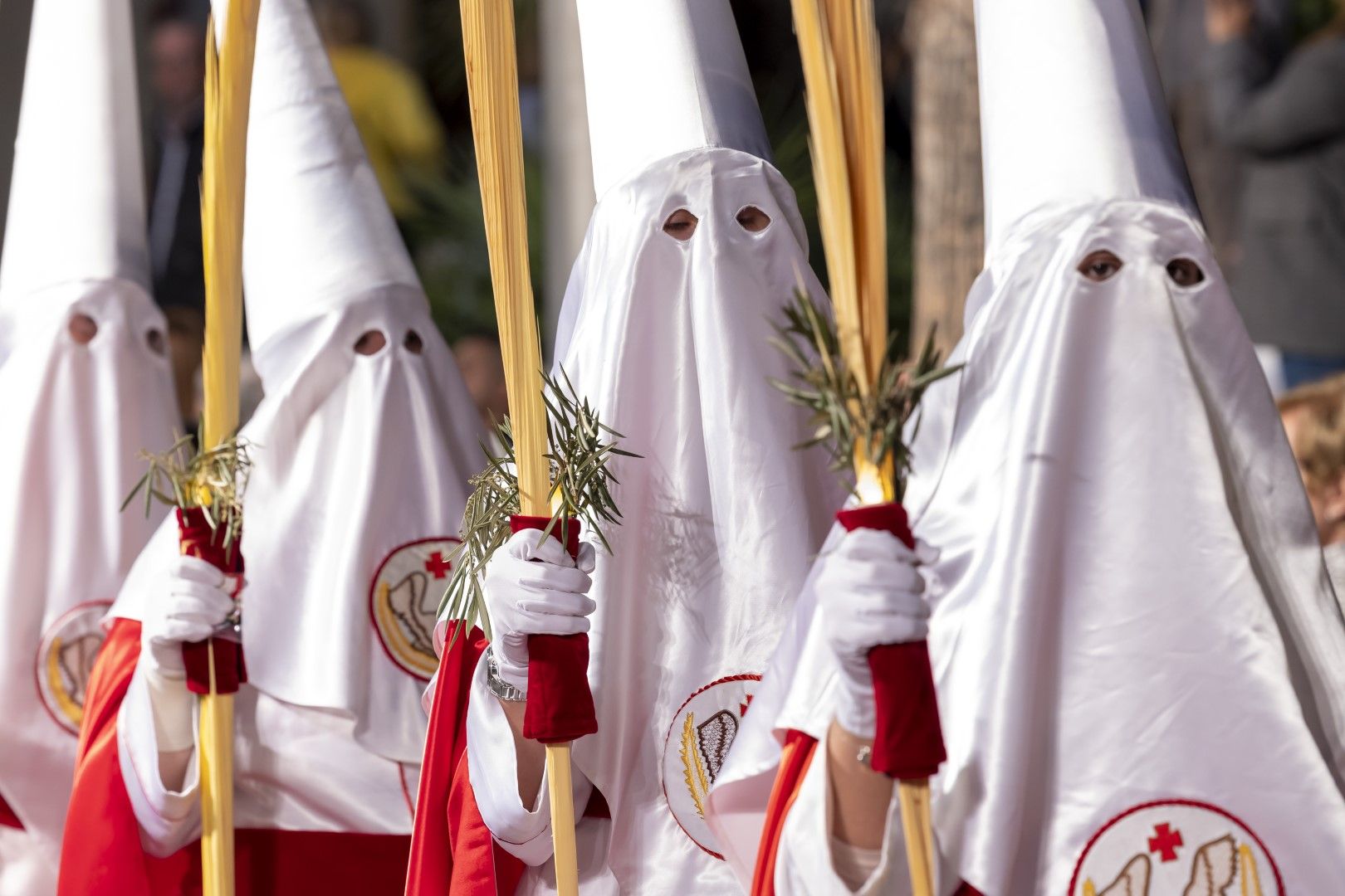 La procesión del Santo Entierro de Cristo del Viernes Santo en Torrevieja, en imágenes