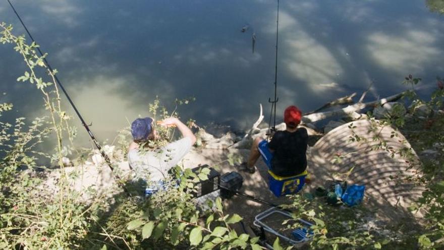 La veda en el galacho se tratará en el próximo Consejo de Pesca