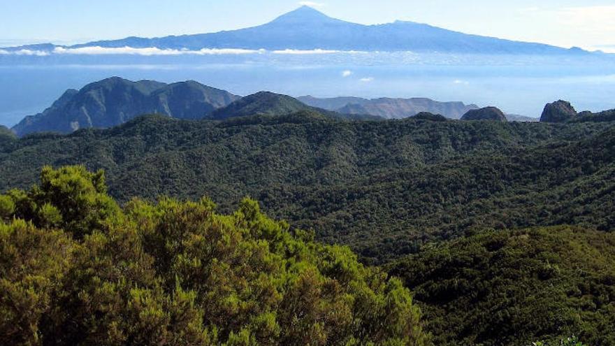 Panorámica de La Palma, al fondo la isla de Tenerife.