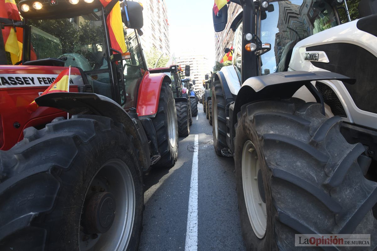 Miles de agricultores y ganaderos toman las calles de Murcia