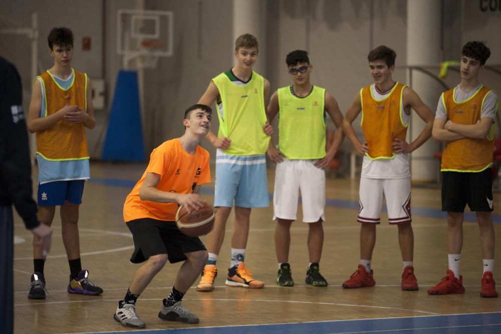 Las concentraciones de balonmano y baloncesto.