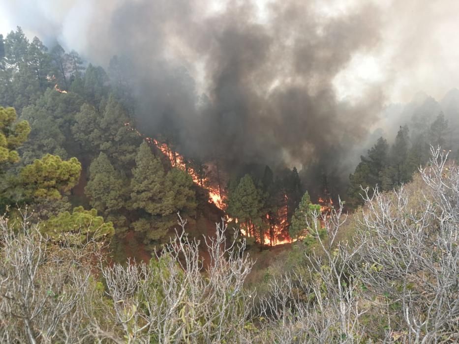 Imágenes del incendio de La Palma