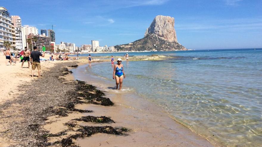 Calp levanta la prohibición de bañarse en sus playas