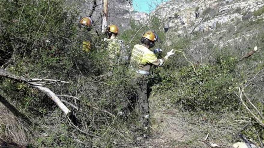 La diputación destina 85.588 euros a la Safor contra el abandono del monte