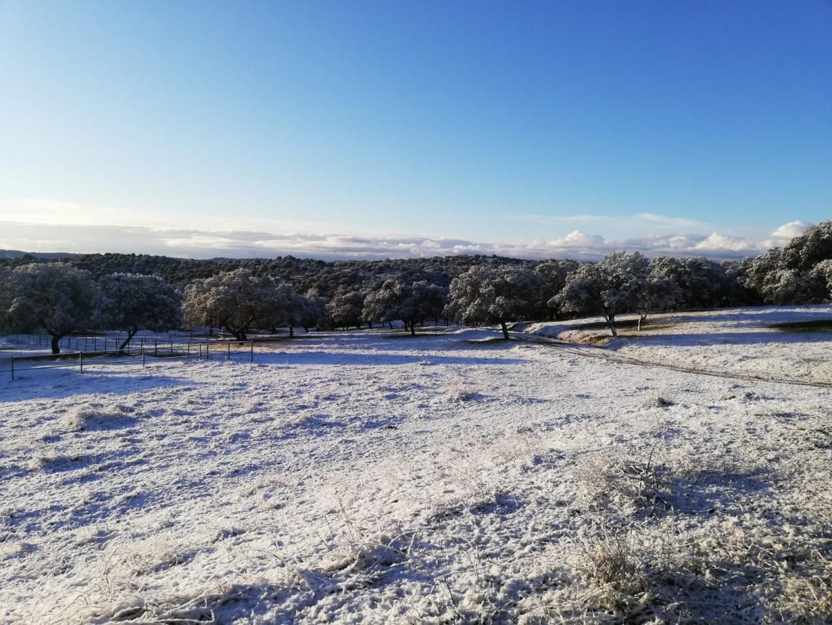 Amanecen nevadas zonas de Los Pedroches y la Subbética