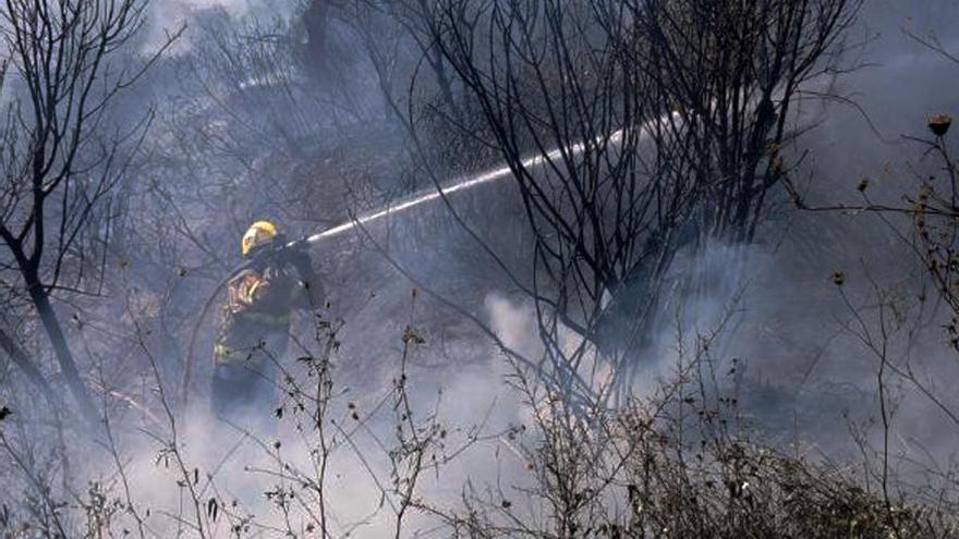 Un incendi de vegetació a Torroella de Montgrí crema 1,35 hectàrees