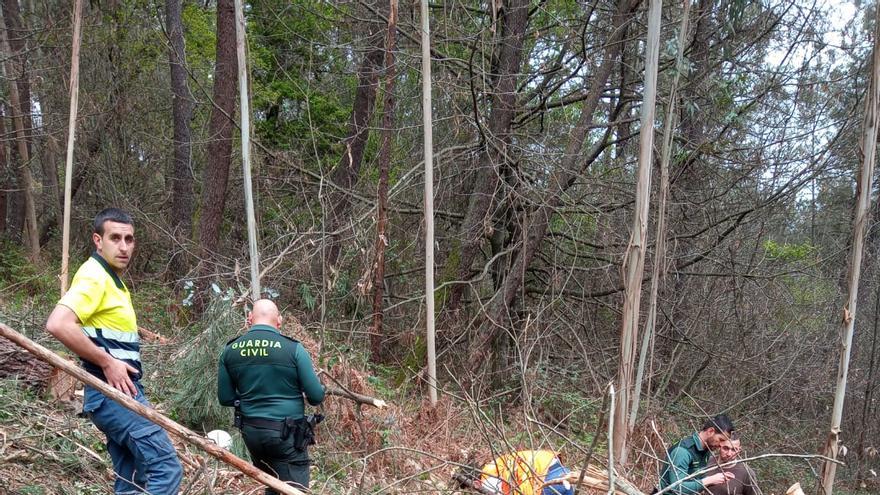 Herido un trabajador forestal en Brandariz por el golpe de una rama en la cabeza