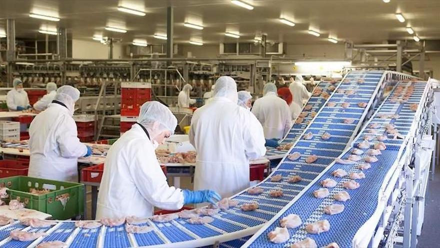 El grupo holandés Plukon Food compra la extremeña avícola VMR de Cuacos