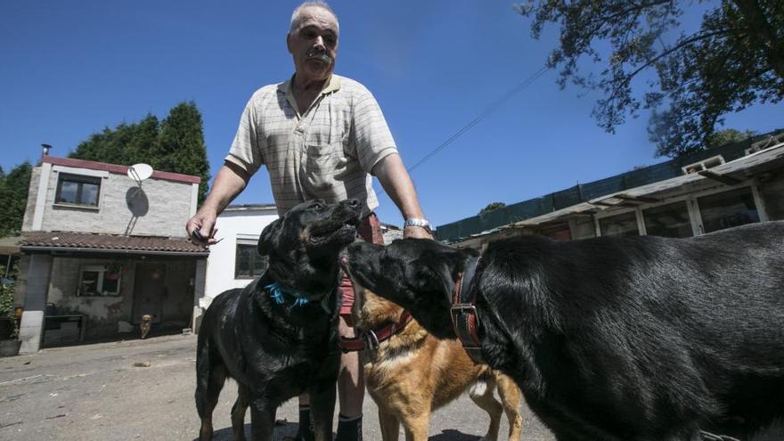 Los perros sacrificados en Arniella junto a su dueño.