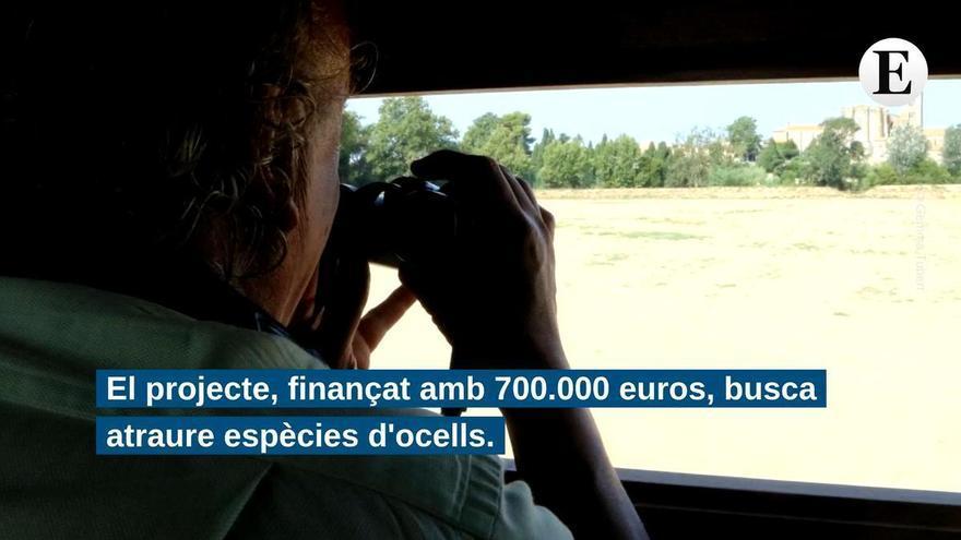 Castelló d'Empúries posa en marxa l'estany artificial de la Vila com a "porta d'entrada" als Aiguamolls