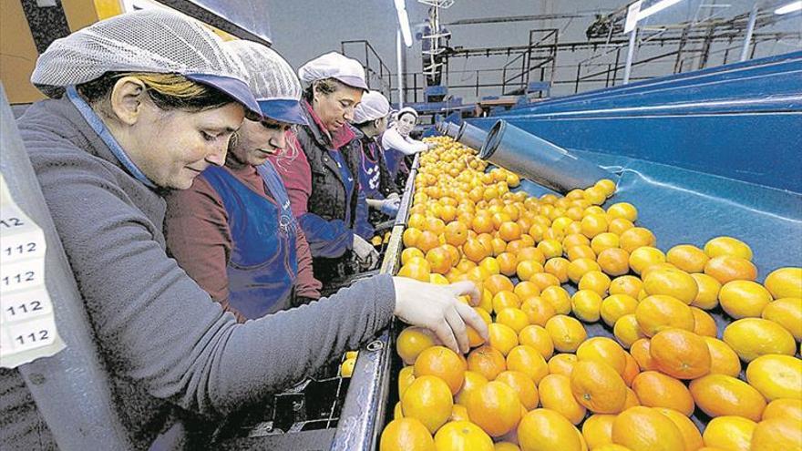 La guerra arancelaria de Trump amenaza las ventas de naranja