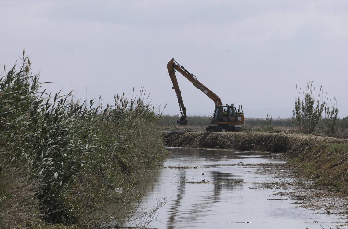 VALENCIA. VLC. Obras de recuperación de caminos en la albufera