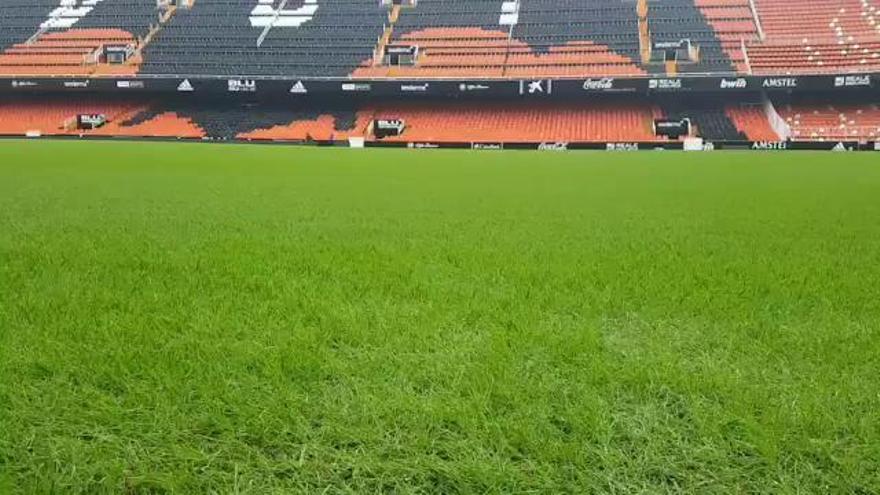 Así está el césped del estadio de Mestalla