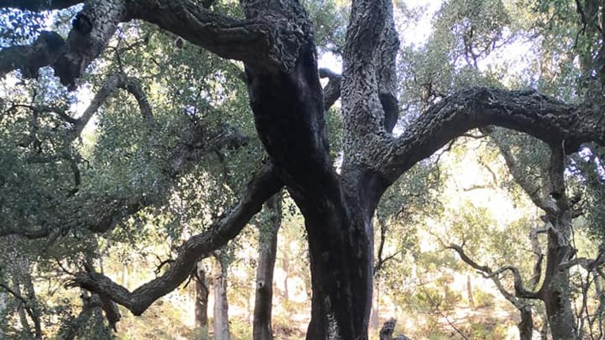 De Navajas a Aín, una ruta por las fuentes