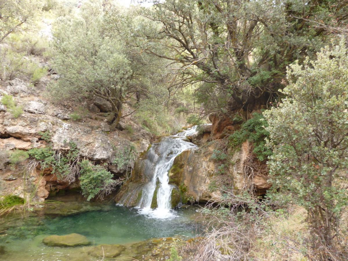 Varias cascadas jalonan una excursión fresquita.