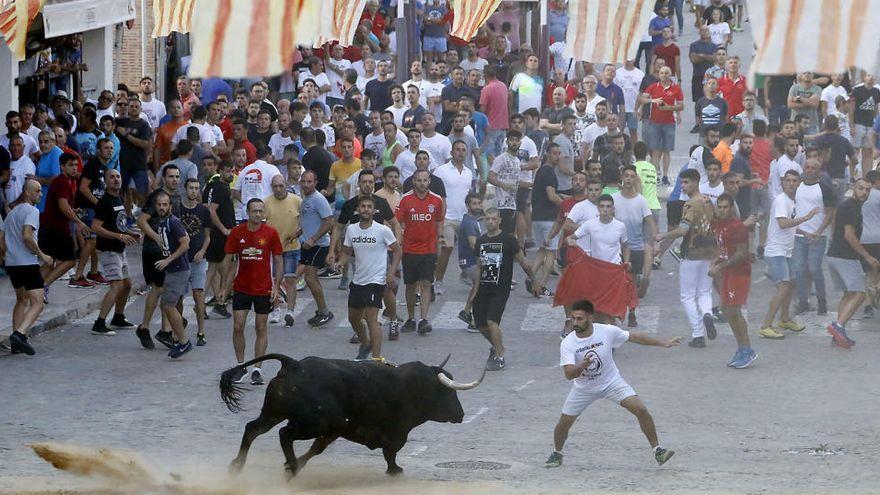 Puçol volverá atener festejos taurinos en junio y pide prudencia.