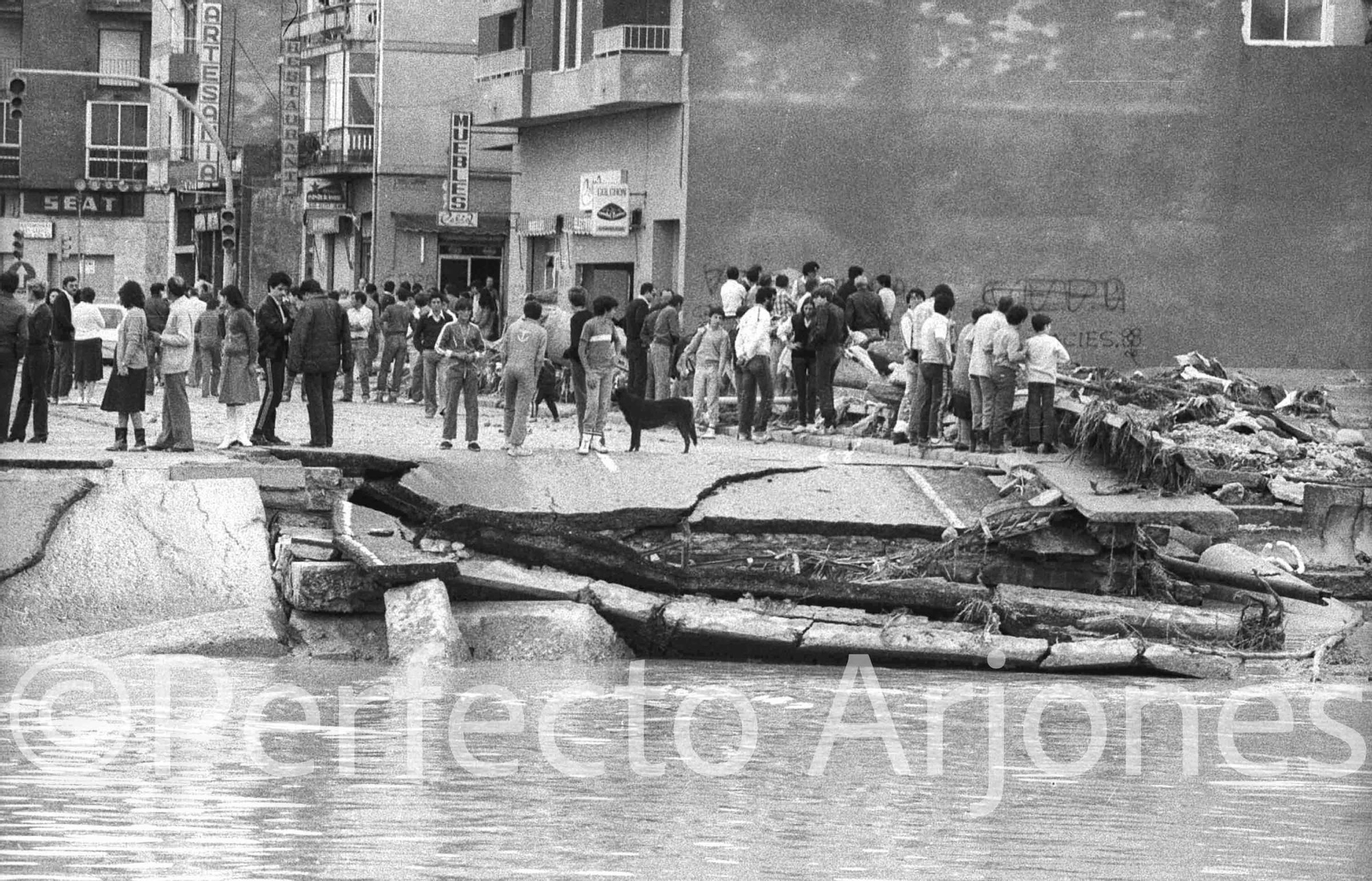 Riada de 1982: El día que Alicante se partió en dos