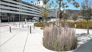 Planta resistent col·locada per Parcs i Jardins en un escocell de Can Marcet.