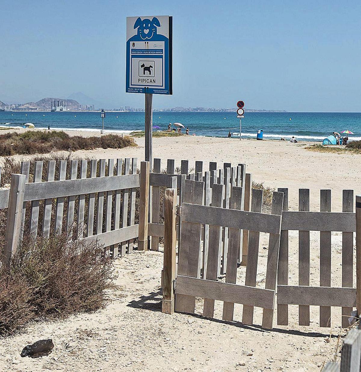 Sin chiringuito en la playa canina