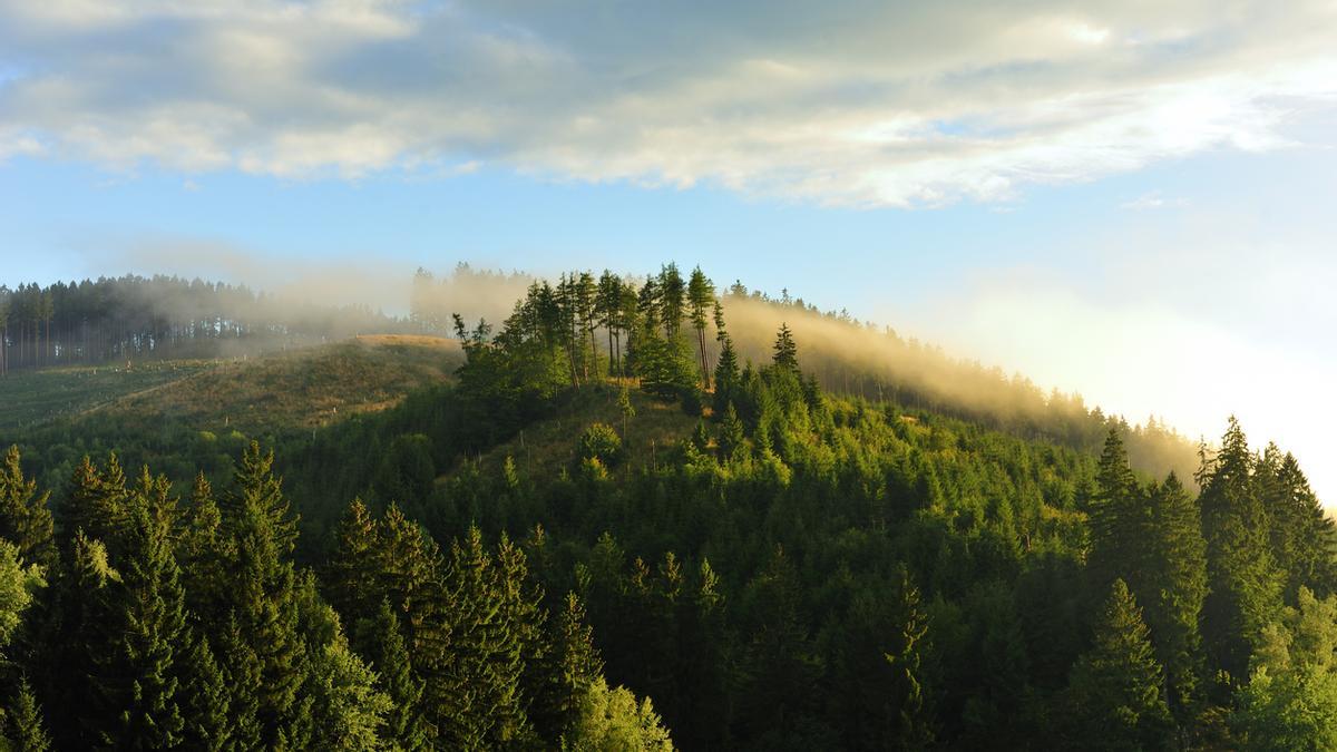 ¿Crees en la magia? Conoce la ruta alemana de las Brujas de Harz