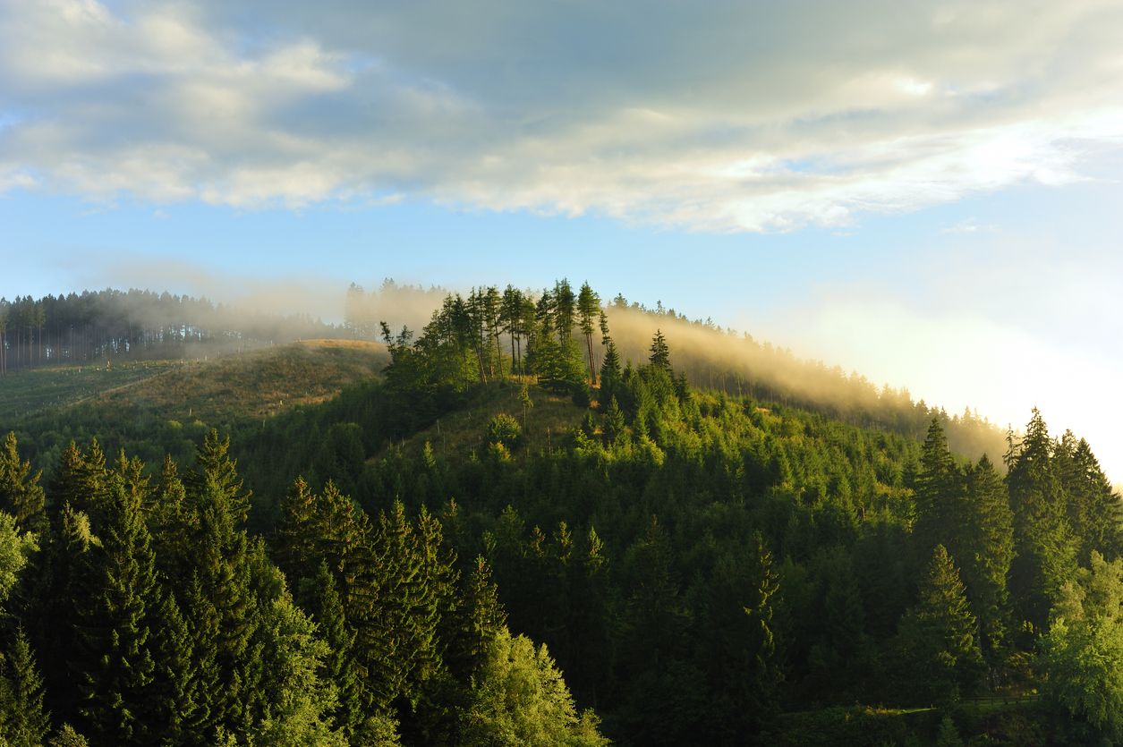 La niebla se cierne sobre las montañas de Harz, protagonizando el paisaje durante casi todo el año.