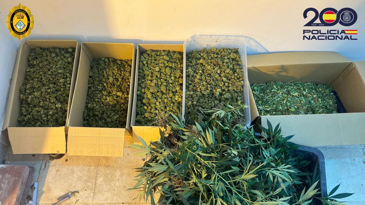 La droga se incautó en un aparcamiento de Lloret de Mar
