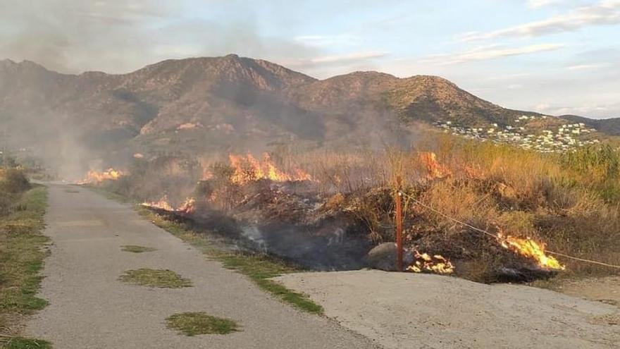 El foc va remar vegetació a tocar d&#039;un camí del Cortijo.