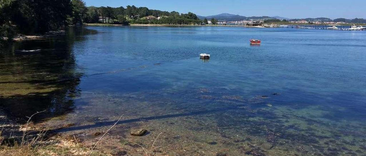 Isla de A Toxa, en el municipio de O Grove. // Muñiz