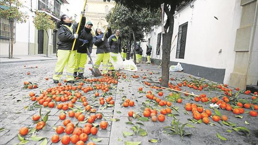 Cien contratos para recoger 1 millón de kilos de naranjas