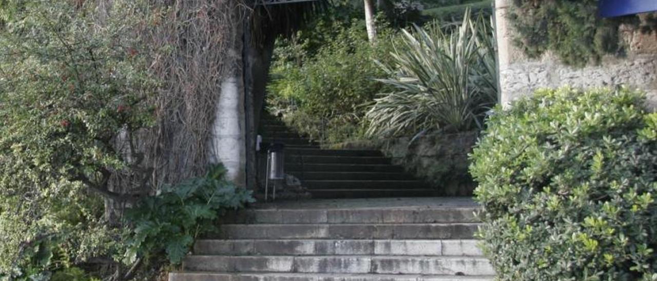 El el parque de sa Quarentena se instalará un ascensor. | DM