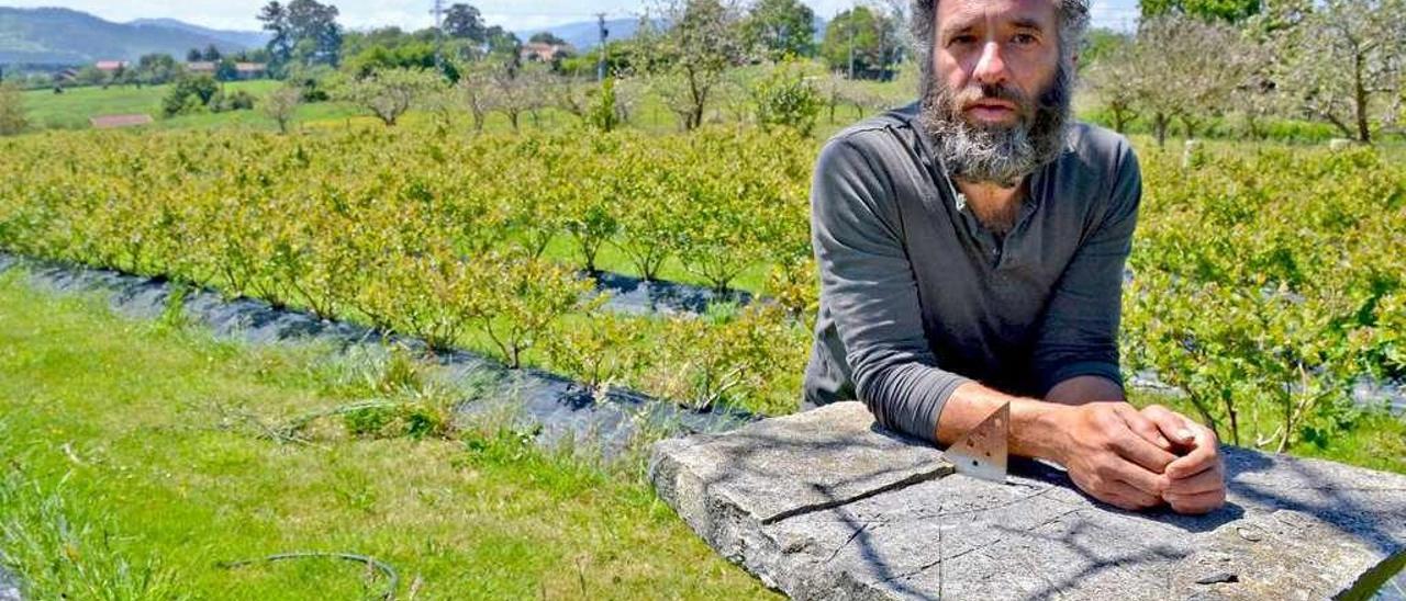 Markos Gamboa se apoya en un reloj de sol en la plantación de arándanos de Castiello de la Marina, en Villaviciosa.