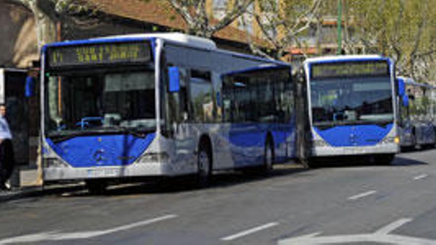 Los 58 nuevos autobuses se amortizarán en 11 años