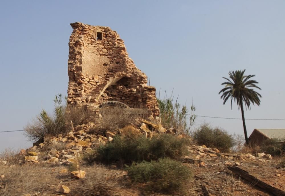 Molinos en Peligro de Extinción