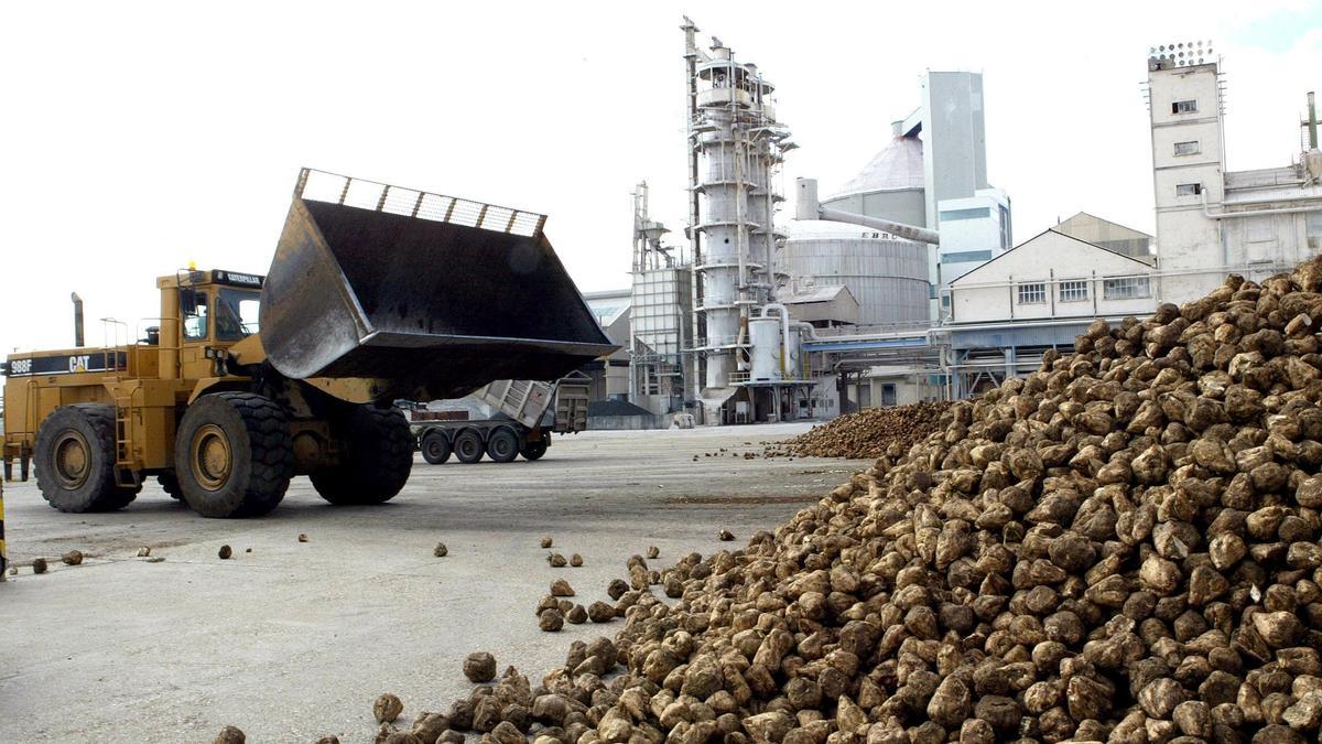 Actividad en la fábrica azucarera de Toro