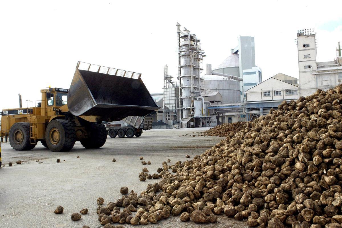 Actividad en la fábrica azucarera de Toro