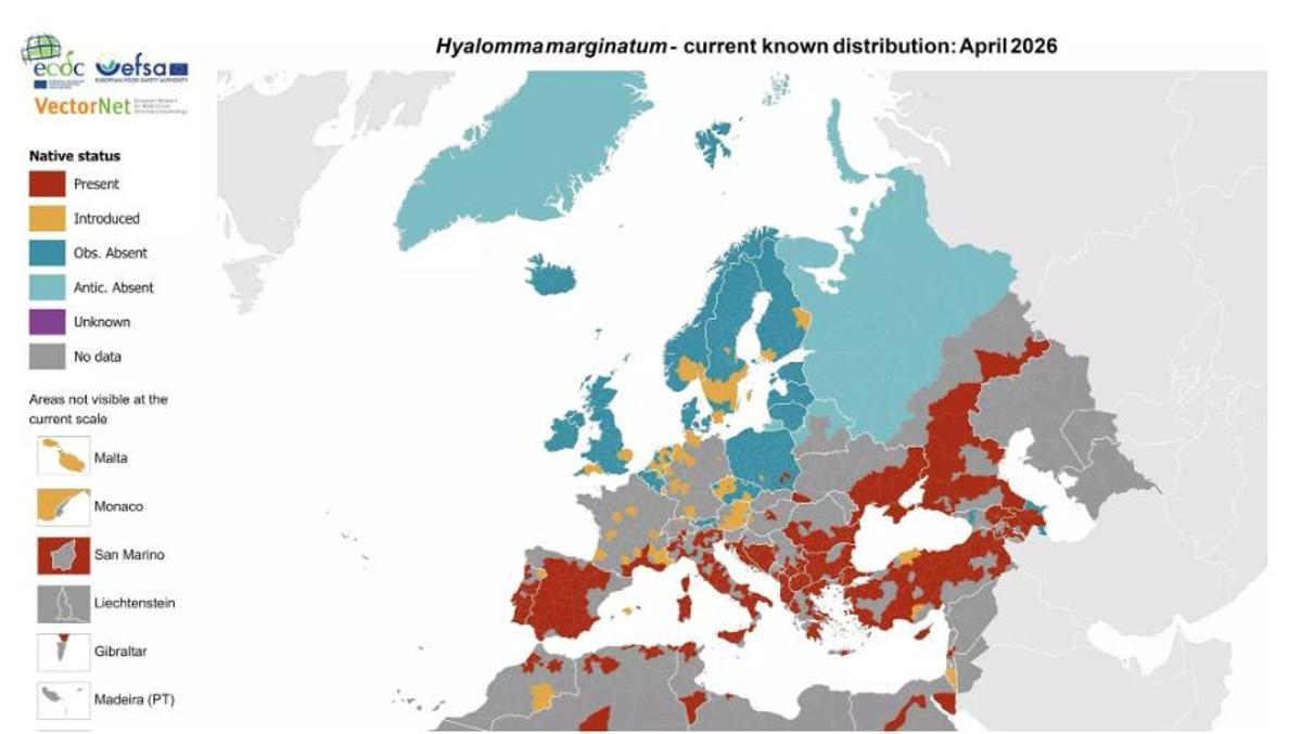 Mapa de la distribució actual coneguda d''Hyalomma marginatum': abril de 2026