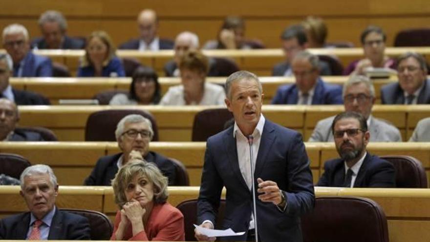 El portavoz socialista en el Senado, Ander Gil, en un pleno de la Cámara.