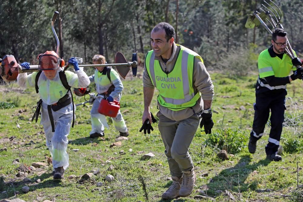 Búsqueda de pruebas en el caso de Baiona