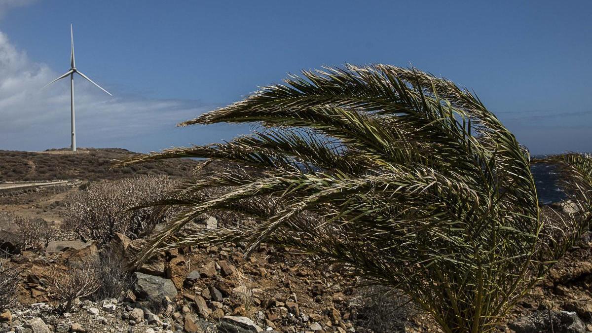 Fuertes rachas de viento en Canarias.