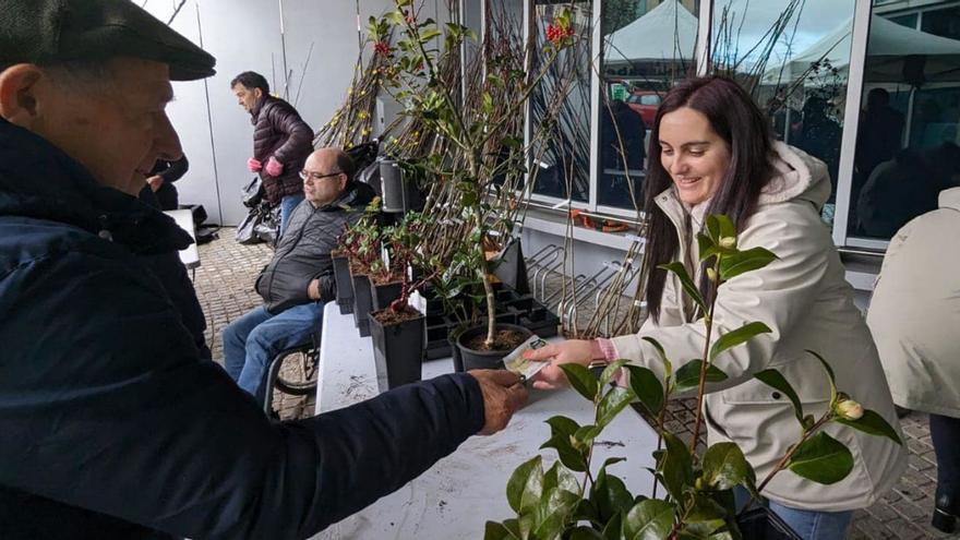 Lalín ‘colocó’ más de un millar de plantones gracias a su campaña de repoblación 50.000 árbores +