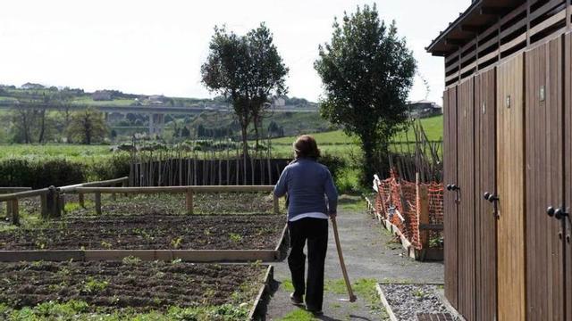 Una mujer en un huerto en la zona rural gijonesa.